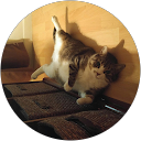 Toby Labrecque profile picture